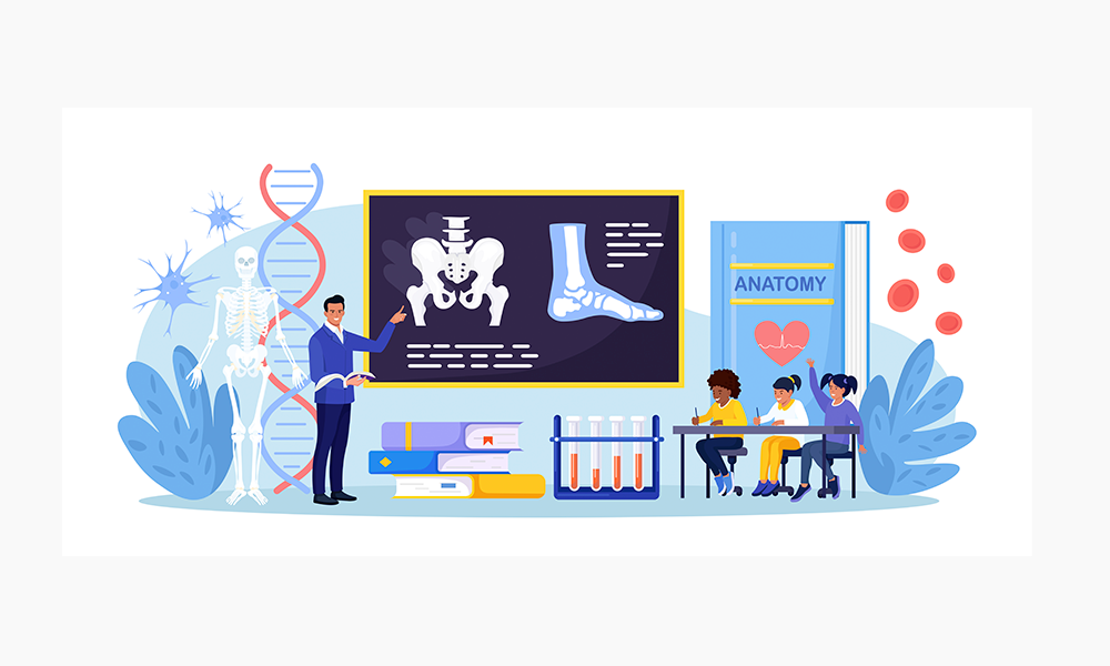 Máster Oficial en Biomecánica y Fisiología del Movimiento