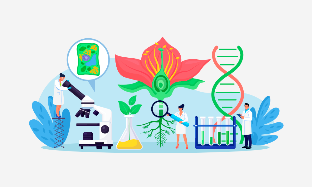 Máster Oficial en Ciencias de Biotecnología Vegetal y Toxicología